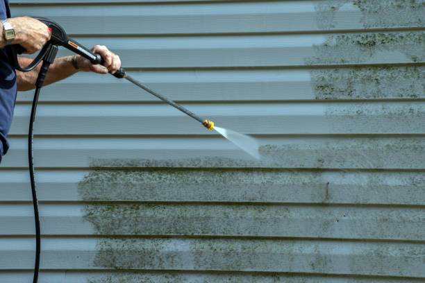 Best Patio and Deck Pressure Washing  in Santo Domingo Pueblo, NM